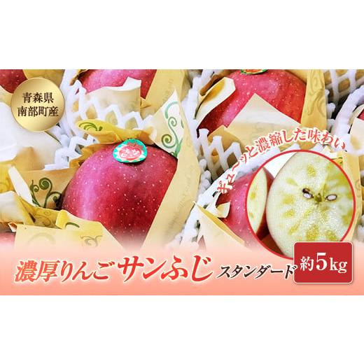 ふるさと納税 りんご 青森県 南部町 青森県南部町産 濃厚りんごサンふじ 約5kg アグリーデザイン スタンダード 青森りんご リンゴ 林檎 アップル 青森県 南部…