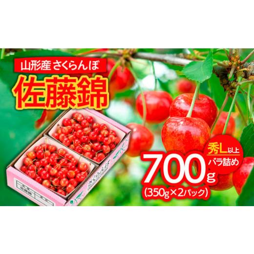 ふるさと納税 山形県 山形市 山形市産 さくらんぼ 佐藤錦 L以上 700g(350g×2パック)バラ詰め [令和6年産先行予約]FU21-824 フルーツ くだもの 果物 山形 山…