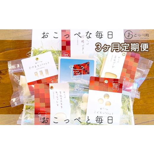 ふるさと納税 加工品等 チーズ 北海道 興部町 牧場直送便『おいしさ詰まったチーズ&醗酵バターBセット』3ヶ月定期便 11005