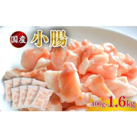 ふるさと納税 牛肉 ホルモン 大阪府 松原市 国産 小腸 ホルモン 400g 牛肉 冷凍 真空 小分け 200g×2 パック お肉 牛肉 牛ホルモン 焼肉 焼き肉 ホルモン焼き …