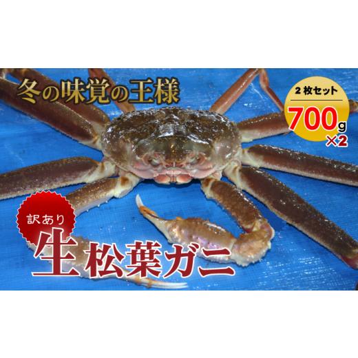 ふるさと納税 鳥取県 倉吉市 【魚倉】訳あり生松葉ガニ２枚セット 700g以上 松葉ガニ カニ ズワイガニ カニ爪 訳あり わけあり 冷蔵  かにしゃぶ カニ刺身　ず…｜furusatochoice｜02