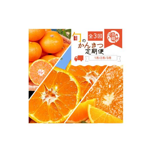ふるさと納税 果物類 みかん 和歌山県 新宮市  3か月定期便 人気のみかんを集めた 旬の柑橘定期便 田村みかん・ポンカン・清見オレンジ tkb111_1