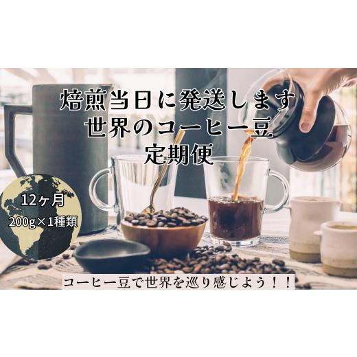 ふるさと納税 コーヒー コーヒー豆 岐阜県 大垣市 コーヒー豆定期便12か月 『焙煎幸房“そら"』世界を旅するコーヒー 浅煎り〜深煎りおまかせコース・豆 2…
