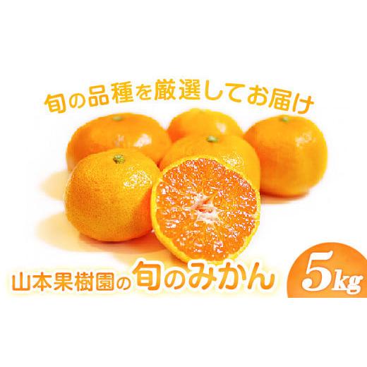 ふるさと納税 みかん・柑橘類 熊本県 氷川町 山本果樹園の旬のみかん 5kg 山本果樹園[9月中旬-2月末頃出荷予定]蜜柑 柑橘 ひのあかり 日南 豊福 肥後早生 …