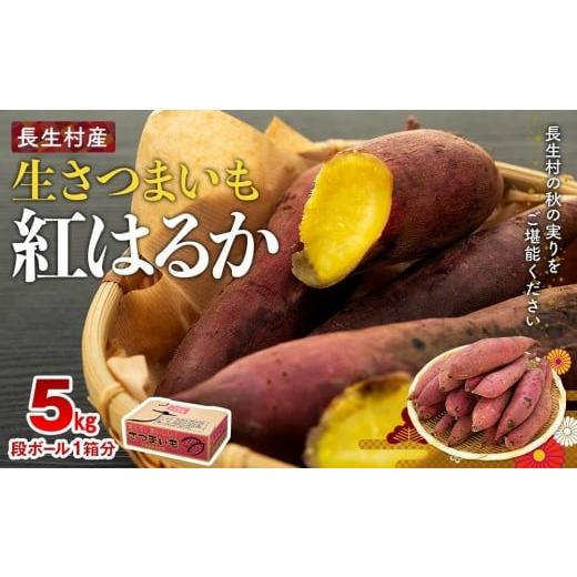 ふるさと納税 野菜類 サツマイモ 千葉県 長生村 J01-001 長生村産生さつまいも 紅はるか 5kg 5kg