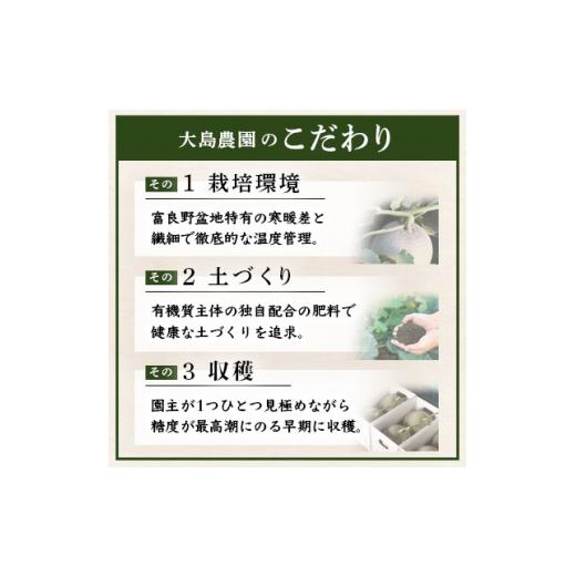 ふるさと納税 北海道 富良野市 ＜先行受付＞富良野メロン　赤肉2玉　北海道富良野市『大島農園』【1261685】｜furusatochoice｜05