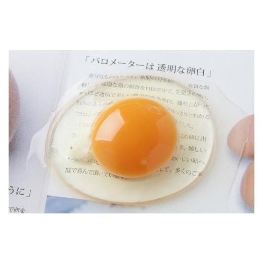 ふるさと納税 醤油 甘口 高知県 四万十町 卵が苦手な子どもも食べられた 生臭くないおいしい卵を味わう卵かけご飯ミニセット(卵6個×2P、お米2合×1P、醤油×1…の画像