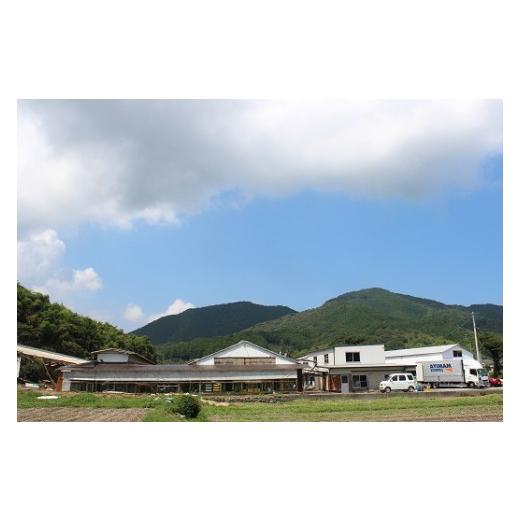 ふるさと納税 醤油 甘口 高知県 四万十町 卵が苦手な子どもも食べられた 生臭くないおいしい卵を味わう卵かけご飯ミニセット(卵6個×2P、お米2合×1P、醤油×1…の画像