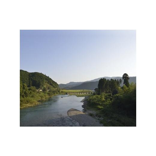 ふるさと納税 醤油 甘口 高知県 四万十町 卵が苦手な子どもも食べられた 生臭くないおいしい卵を味わう卵かけご飯ミニセット(卵6個×2P、お米2合×1P、醤油×1…の画像