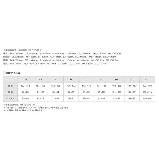 ふるさと納税 鹿児島県 霧島市 A0-281-08ミズノ・ポロシャツ(ホワイト・3XL)【ミズノ】 日本製 国産 スポーツ 運動 トレーニング ゴルフ ウエア ウェア 吸汗速…｜furusatochoice｜05