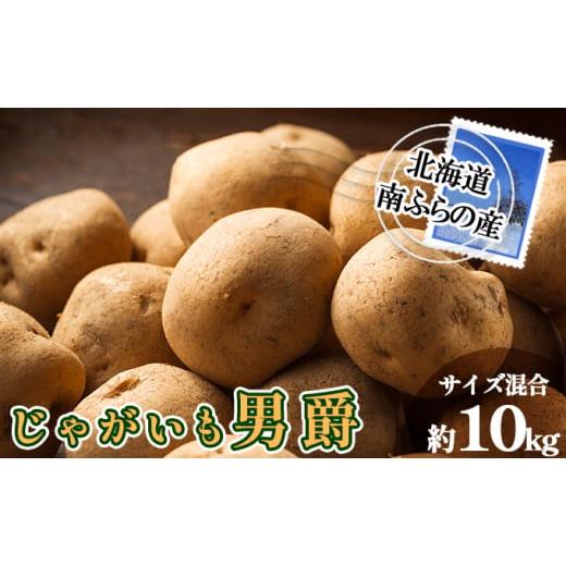 ふるさと納税 野菜類 じゃがいも 北海道 南富良野町 南ふらの産 じゃがいも 男爵 約10kg サイズ混合 北海道 南富良野町 じゃがいも ジャガイモ 男爵 2026年発…