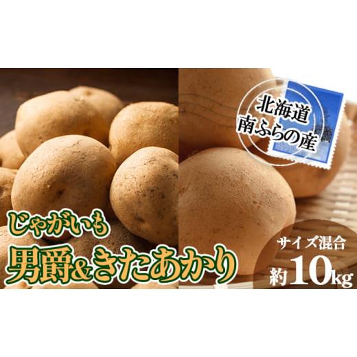 ふるさと納税 野菜類 じゃがいも 北海道 南富良野町 南ふらの産 じゃがいも 男爵 & きたあかり 約10kg サイズ混合 北海道 南富良野町 じゃがいも ジャガイモ …