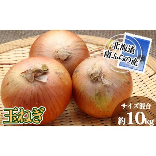 ふるさと納税 野菜類 玉ねぎ 北海道 南富良野町 南ふらの産 玉ねぎ 約10kg サイズ混合 北海道 南富良野町 2026年発送 先行予約 北海道 南富良野町 玉葱 玉ネギ…