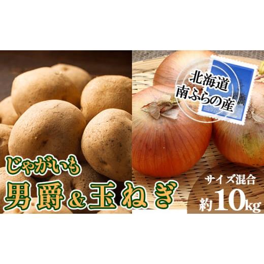 ふるさと納税 野菜類 じゃがいも 北海道 南富良野町 南ふらの産 じゃがいも 男爵 & 玉ねぎ 約10kg サイズ混合 2026年発送 先行予約 北海道 南富良野町 玉葱 …