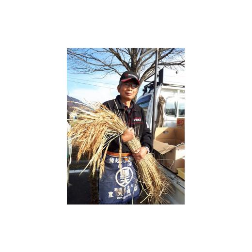 ふるさと納税 米・パン もち米 長野県 辰野町 271 先行予約 ほたるの里の古代白毛餅米 令和8年産 先行予約 5キロ