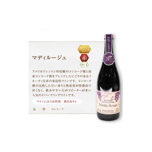 ふるさと納税 ワイン スパークリングワイン 山梨県 甲州市 スパークリングワイン　マディルージュと甲州２本セット(MG)　B2-666 ワイン 蒼龍葡萄酒 スパークリ…_2