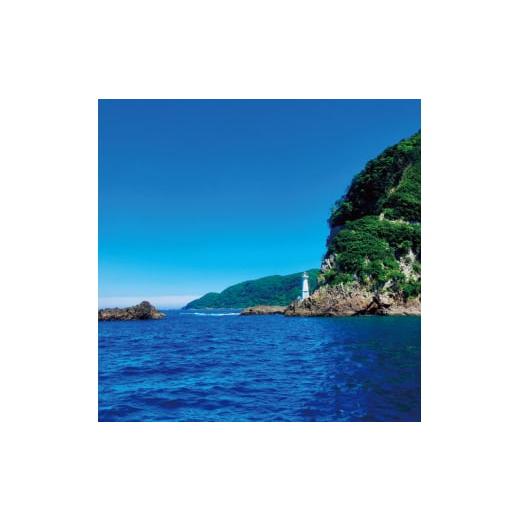 ふるさと納税 入場券・優待券 和歌山県 串本町 わくわくクルーズ 1〜2名 hmr007の画像