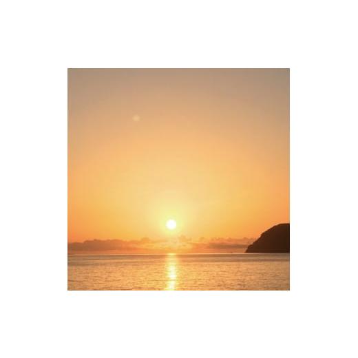 ふるさと納税 入場券・優待券 和歌山県 串本町 わくわくクルーズ 1〜2名 hmr007の画像