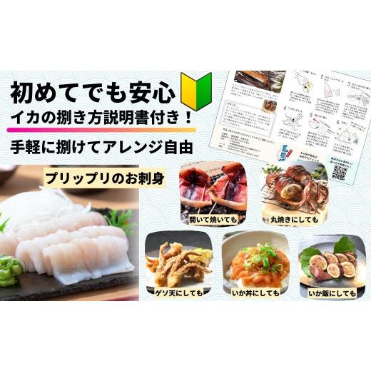 ふるさと納税 惣菜・レトルト 冷凍 島根県 海士町  のし付き 寒シマメ三昧 スルメイカ3種セット スルメイカ いか イカ 漬け 肝醤油漬け 唐揚げ ゲソ唐揚げ げ…_4
