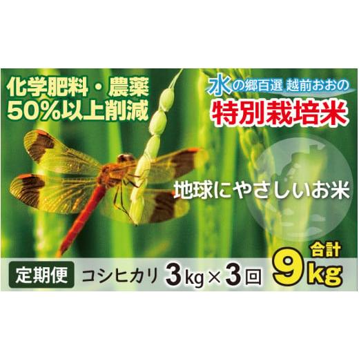 ふるさと納税 米 コシヒカリ 福井県 大野市 令和7年産 3ヶ月定期便 こしひかり 3kg × 3回 計 9kg 白米 減農薬・減化学肥料「特別栽培米」