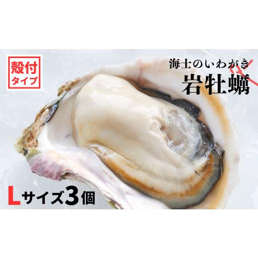 ふるさと納税 牡蠣 生牡蠣 島根県 海士町 のし付き いわがき 殻付きLサイズ 3個 岩牡蠣 生食可 冷凍 牡蛎 牡蠣 かき カキ 岩牡蠣 いわがき 冷凍 父の日 母の…