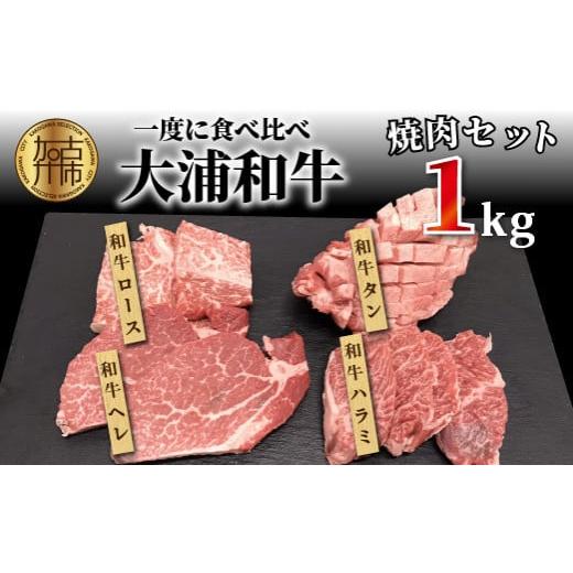 ふるさと納税 牛肉 セット 兵庫県 加古川市 選べる配送月 12月発送 大浦和牛焼肉セット(1kg)[ 牛肉 牛 国産 焼肉 セット おすすめ ロース 美味しい 牛タン …