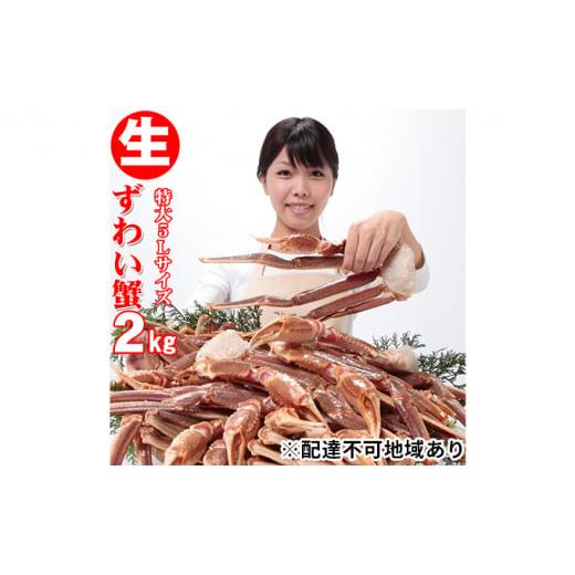 ふるさと納税 兵庫県 明石市 生ズワイガニ　5L　2kg｜furusatochoice｜02