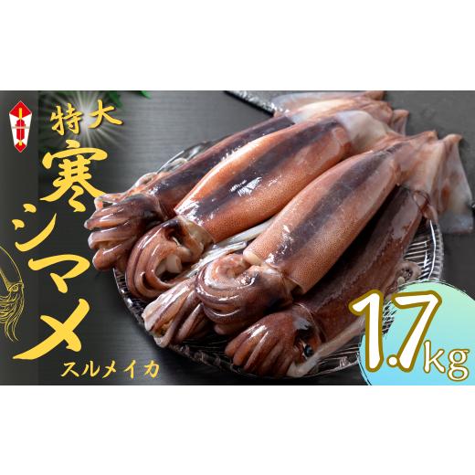 ふるさと納税 イカ 島根県 海士町 のし付き 寒シマメ 特大サイズ 5〜6杯 1.7kg~2kg いか イカ スルメイカ 朝どれ寒シマメ 御歳暮 ギフト 寒シマメ 特大サイズ…