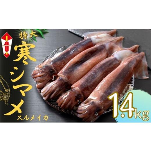 ふるさと納税 イカ 島根県 海士町 のし付き 朝どれ寒シマメ 特大サイズ 4〜5杯 1.4kg〜1.6kg いか イカ スルメイカ 寒シマメ 朝どれ寒シマメ 御歳暮 ギフト …