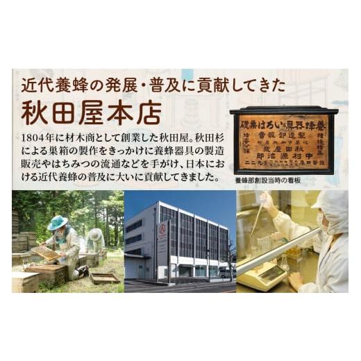 ふるさと納税 加工品等 はちみつ 岐阜県 本巣市  国産はちみつ 百花蜜 アカシア (300g×3本)｜蜂蜜 ハチミツ ボトル たれにくい 国産 常温 はちみつ ハチミツ …の画像