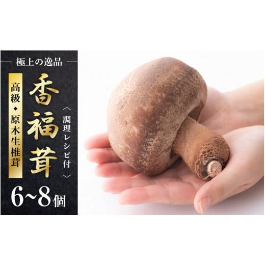 ふるさと納税 野菜類 きのこ 福井県 越前町 先行予約 「福井県ブランドしいたけ」原木生椎茸「香福茸」6〜8個 高級 極上の逸品 調理レシピ有 食べ甲斐あり大…