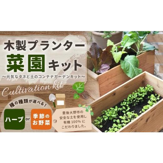 ふるさと納税 花・苗木 大分県 豊後大野市 095-715-H 木製プランター菜園キット〜元気なタネと土のコンテナガーデンキット〜ハーブ ガーデニング ハーブ