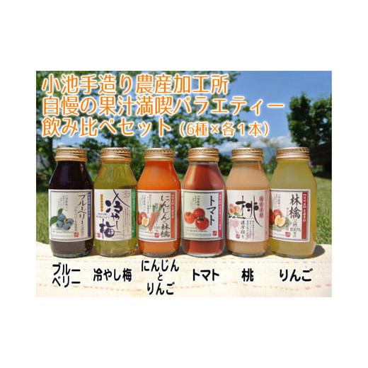 ふるさと納税 長野県 喬木村 6-K03 小池自慢の果汁満喫バラエティー飲みきりセット(KF33)