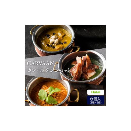 ふるさと納税 惣菜・レトルト 冷凍 埼玉県 飯能市 CARVAAN カレー&タジンセット HN