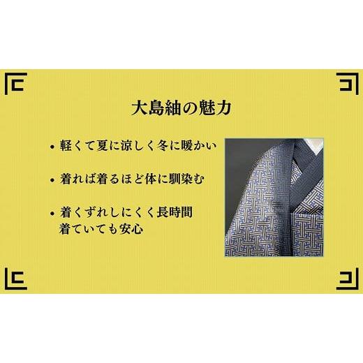 織物・繊維品 鹿児島県 いちき串木野市  手の込んだ鮮やかさ手染めの上質なネクタイ 本場大島紬 お洒落ネクタイ シルク 100% 黒縞 P-255H 【鉄芯】