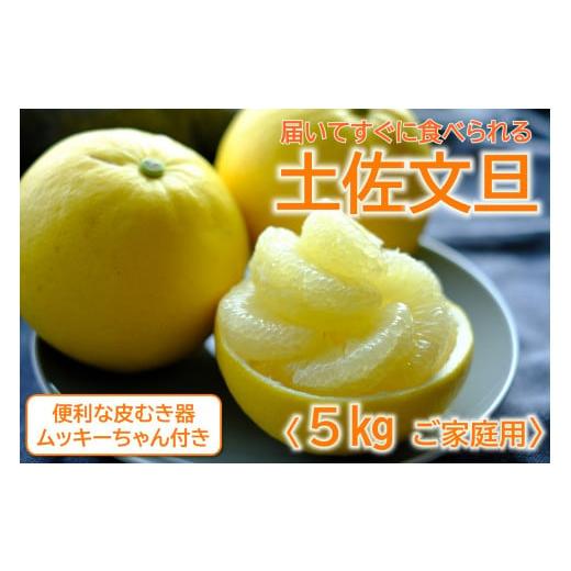 ふるさと納税 みかん・柑橘類 高知県 黒潮町 土佐文旦 5kg L〜3L ご家庭用 高知 黒潮町 文旦 ぶんたん 柑橘 フルーツ 果物 文旦5kg 家庭用文旦 9〜12個 皮むき…