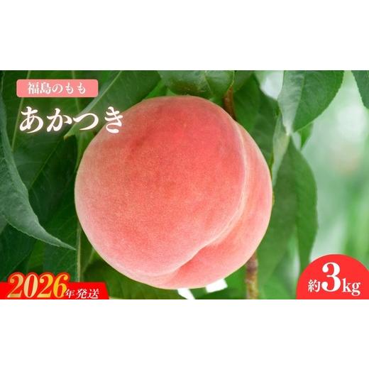 ふるさと納税 もも 福島県 福島市 No.1506福島のもも「あかつき」約3kg 2026年発送 先行予約の画像