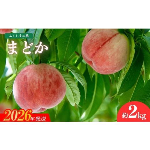 ふるさと納税 もも 福島県 福島市 No.1508福島のもも「まどか」約2kg 2026年発送 先行予約の画像