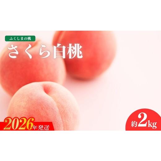 ふるさと納税 もも 福島県 福島市 No.1517福島のもも「さくら白桃」約2kg 2025年発送 : ふるさとチョイス - 通販 ...