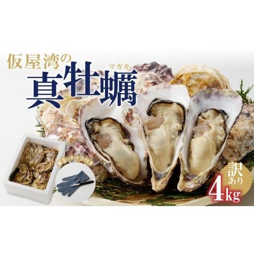 ふるさと納税 牡蠣 生牡蠣 佐賀県 玄海町 2月配送 [訳あり]仮屋湾の真牡蠣(4kg) 殻付き 2月配送 4kg(訳あり)