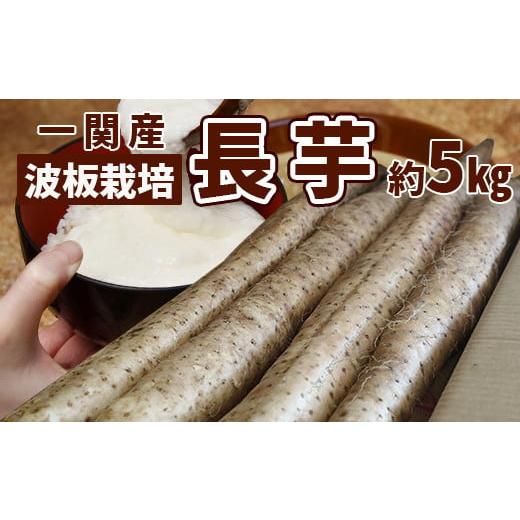 ふるさと納税 野菜類 岩手県 一関市 数量限定 長芋 5kg 岩手県一関市産 秋堀り 農園直送 波板栽培 長いも とろろ ごはんのお供
