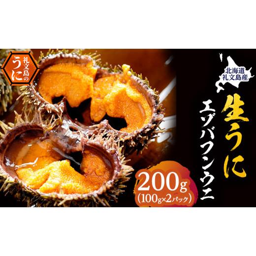 ふるさと納税 ウニ 北海道 礼文町 礼文島産 採れたて バフンウニ 塩水パック 100g×2 生うに 生ウニ 塩水うに : ふるさとチョイス ...