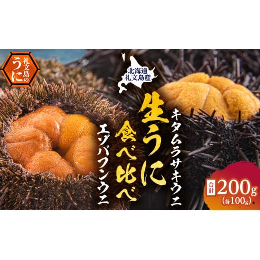 ふるさと納税 ウニ 北海道 礼文町 北海道 礼文島産 ウニの食べ比べセット ( エゾバフンウニ キタムラサキウニ )