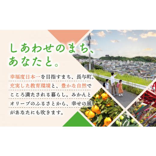 ふるさと納税 麺類 長崎県 長与町  6回定期便 長崎ちゃんぽん 毎月6食 長与町／リンガーハット EBQ004 ちゃんぽん チャンポン 冷凍 具入り ちゃんぽん麺 長崎 …_8