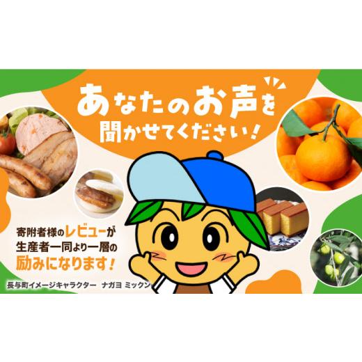 ふるさと納税 麺類 長崎県 長与町  6回定期便 長崎ちゃんぽん 毎月6食 長与町／リンガーハット EBQ004 ちゃんぽん チャンポン 冷凍 具入り ちゃんぽん麺 長崎 …_9