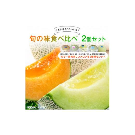 ふるさと納税 メロン メロン青肉 茨城県 鉾田市 [メロン2種類セット]プロ厳選おまかせで旬の味を食べ比べ