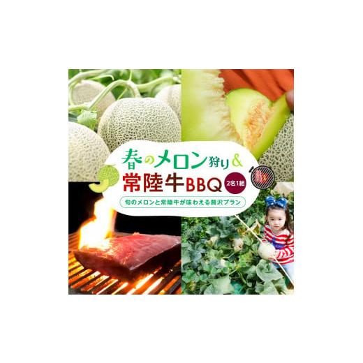 ふるさと納税 茨城県 鉾田市 春の贅沢体験!メロン狩り&常陸牛BBQセット(2名1組)