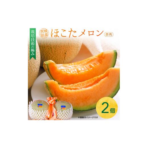 ふるさと納税 メロン メロン赤肉 茨城県 鉾田市 完熟収穫ならではの旨味「ほこたメロン/赤肉」1箱(2個入)