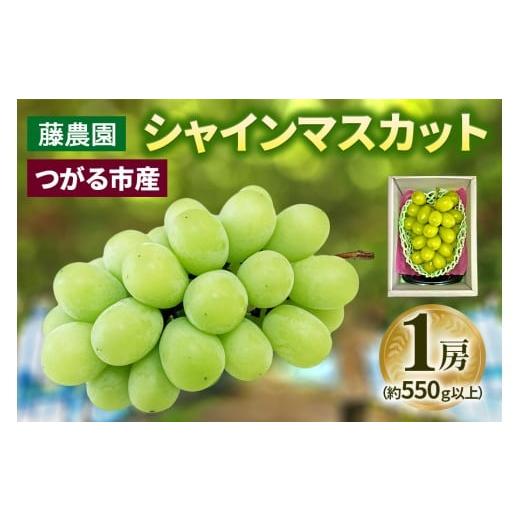 ふるさと納税 ぶどう マスカット 青森県 つがる市 シャインマスカット 1房 (約550g以上)糖度18度以上|つがる市産 種なし ぶどう フルーツ 果物 贈答 青森 つ…