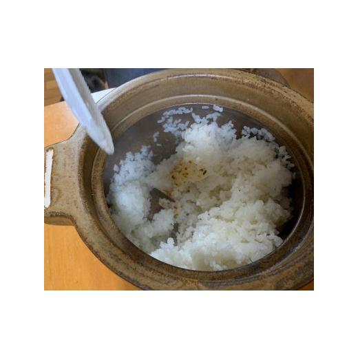 ふるさと納税 陶磁器・漆器・ガラス 滋賀県 甲賀市 Hangout　ごはん鍋3合_3